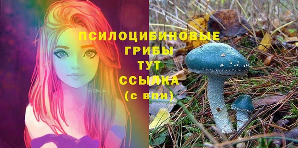 шишки Богородицк