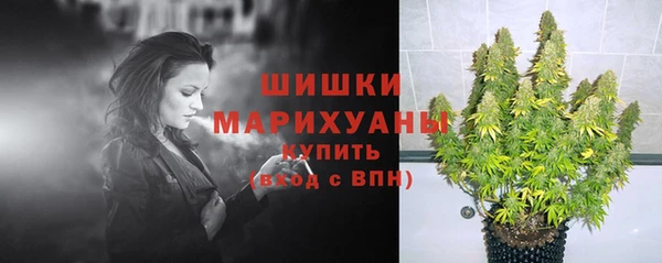 PSILOCYBIN Белоозёрский
