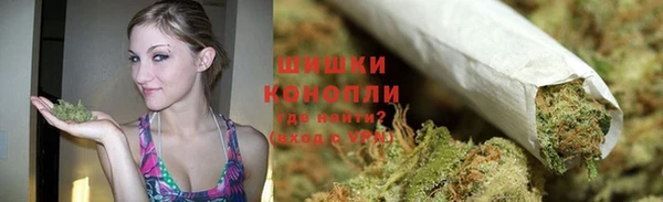 PSILOCYBIN Белоозёрский