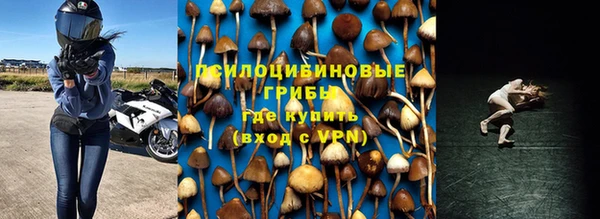 МДМА Белокуриха