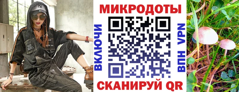 закладка  Котельниково  blacksprut tor  Псилоцибиновые грибы ЛСД 